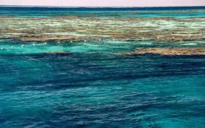 Barrier Reef 2