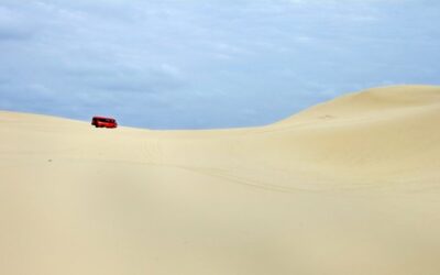 Red Bus on  a Sand Dune